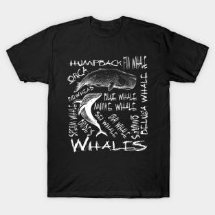 Whales T Shirt and Gifts Ideas Marine Biology Marine Biologist Shirt T-Shirt